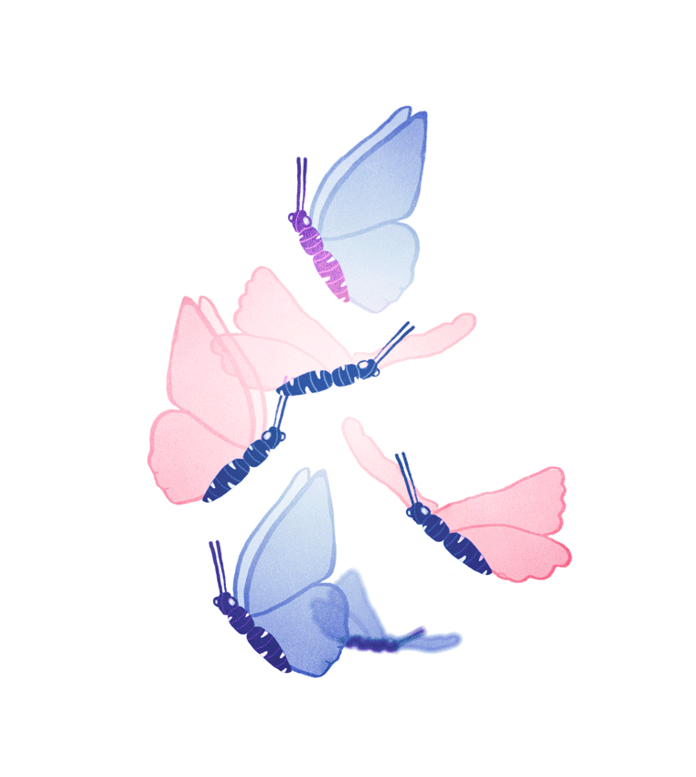 butterfly animation 90