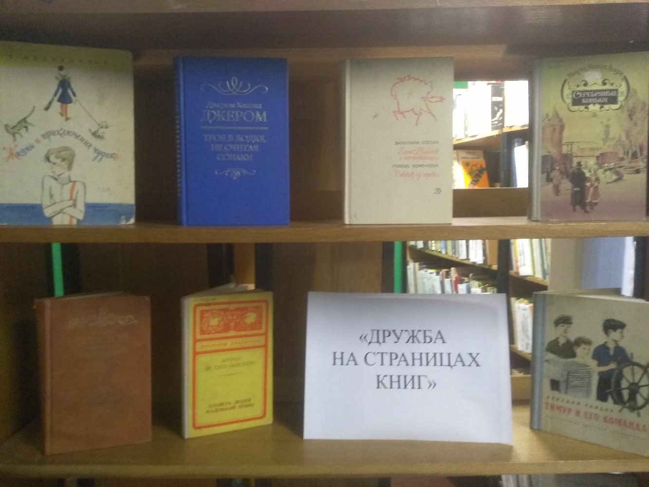 Выставка дружбы. Книжная выставка о дружбе. Названия выставки о дружбе. Выставка о дружбе в библиотеке. Выставка книг о дружбе.